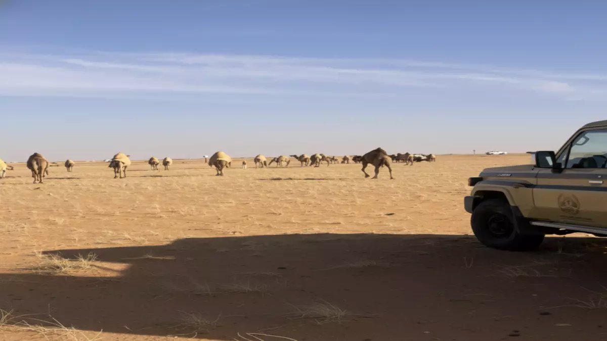 عاجل: ضبط مخالفة تكلف صاحبها 12,000 ريال.. لن تصدق ما هي!