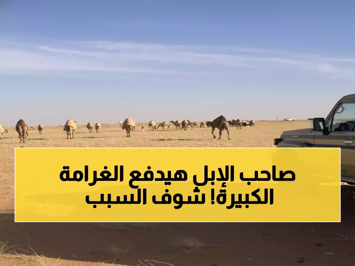  ضبط مخالفة تكلف صاحبها 12,000 ريال.. لن تصدق ما هي!