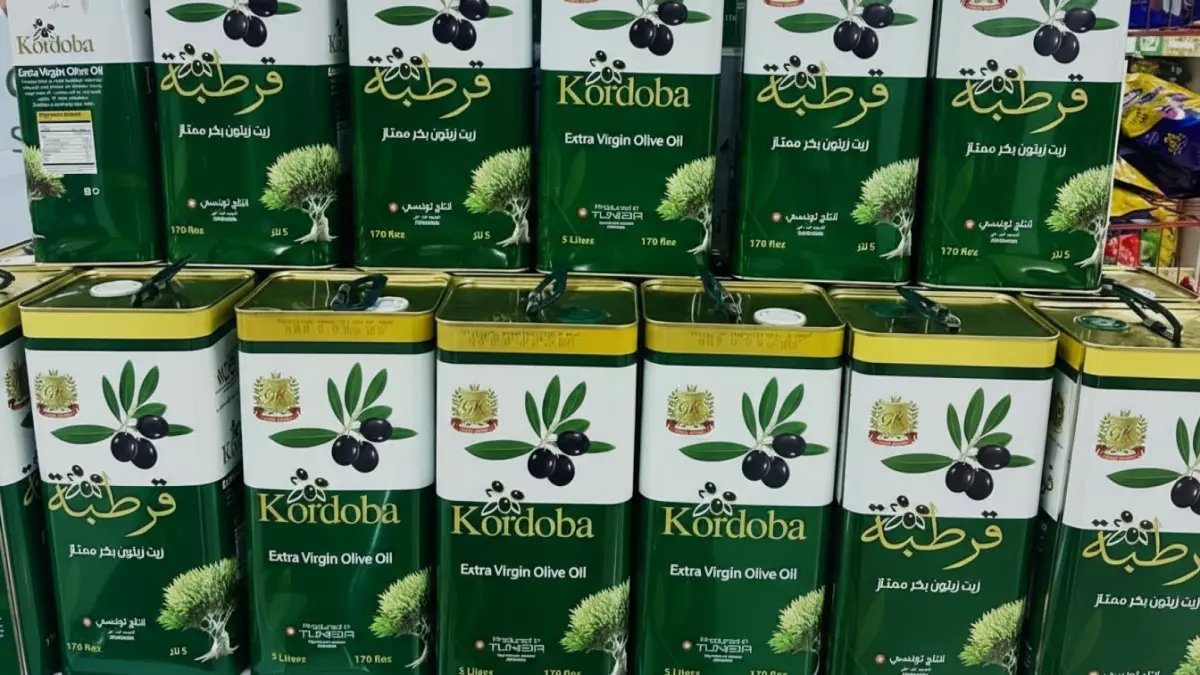 عاجل: أقوى موجة برد قطبية منذ 2024 تجتاح المنطقة.. والحرارة تهبط تحت الصفر لأول مرة في رمضان!