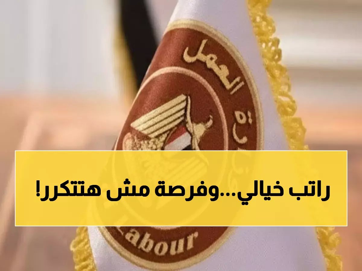  40 ألف جنيه شهرياً! وزارة العمل تفتح باب التعيين في الطاقة الشمسية - المقابلات يومياً