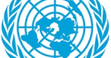 الوكالة الدولية للطاقة الذرية: توصلنا لوقف إطلاق النار لاستعادة الخط الكهربائي في زابوروجيه