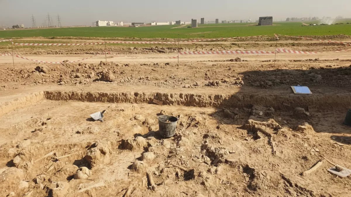 صادم: 108 جمجمة بشرية تكشف سر مقبرة جماعية عمرها 1400 عام في أربيل!