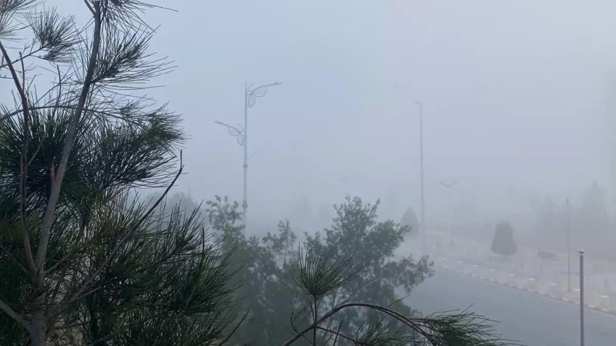 عاجل: طريف تواجه موجة جليدية خطيرة... درجات حرارة تحت الصفر فجر السبت!