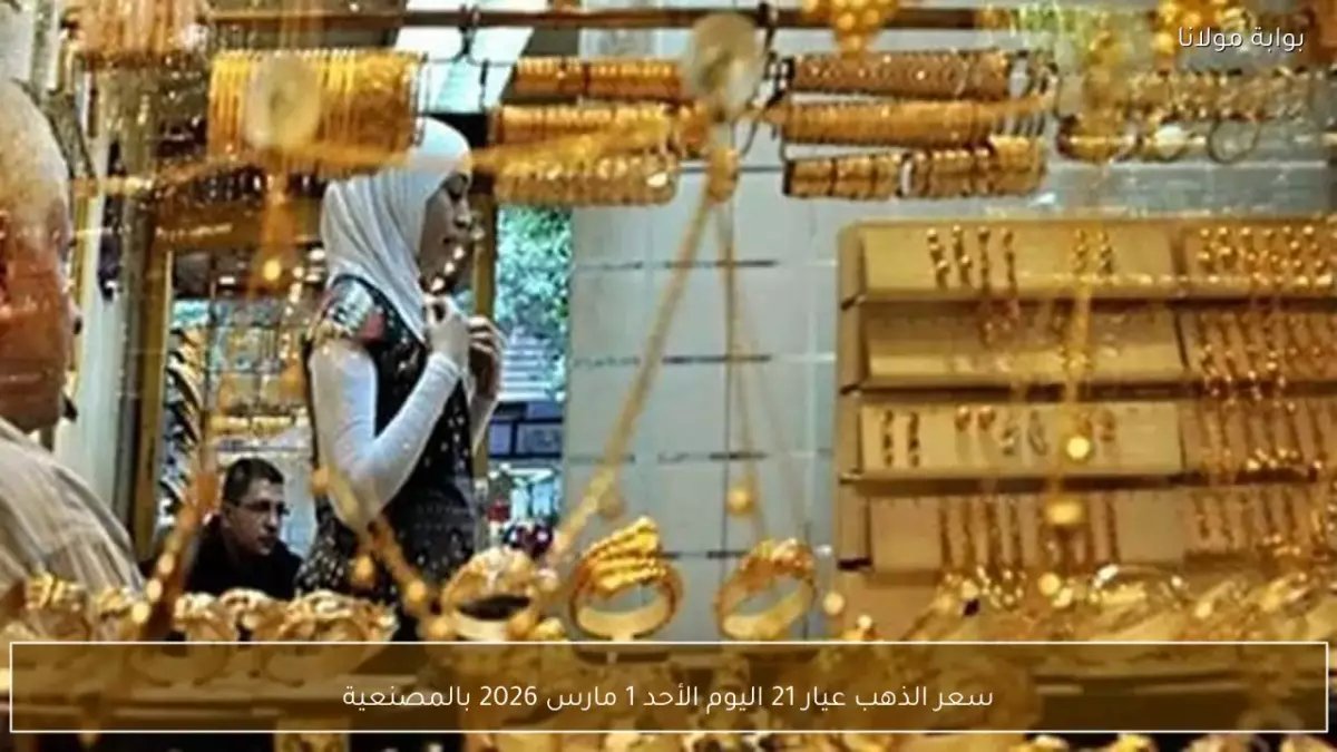 عاجل: الذهب يحطم الأرقام القياسية... قفزة جنونية بـ 5387 دولار للأوقية في السعودية!