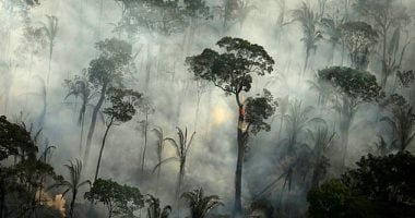 رئة العالم تحتضر.. الكوكايين والتعدين الغير قانونى يلتهمان أمازون كولومبيا