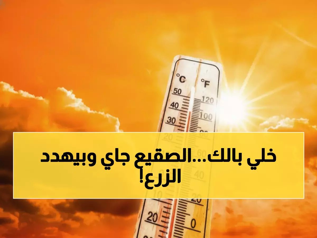  الأرصاد تصدر تحذير خطير لـ 100 مليون مصري… الصقيع يهدد بكارثة زراعية والحرارة تنهار لـ 6 درجات!