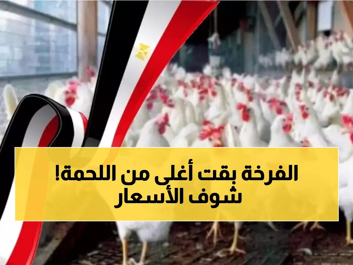  صدمة الدواجن تضرب مصر في رمضان... ارتفاع جنوني 35% والبيض يقفز لـ118 جنيه!