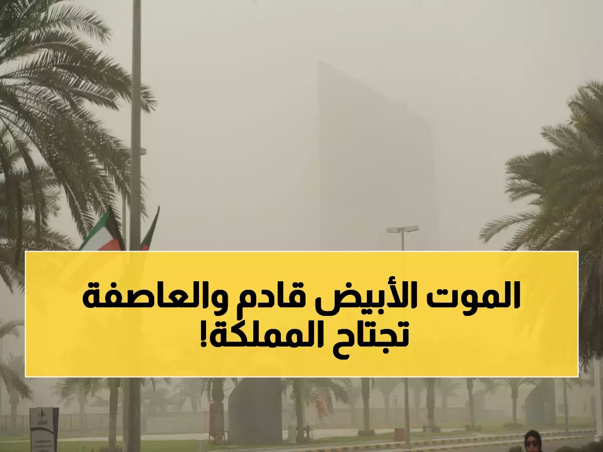  برد قطبي يضرب السعودية… 7 درجات فقط بالرياض غداً وعاصفة غبار تكتسح 3 مناطق!