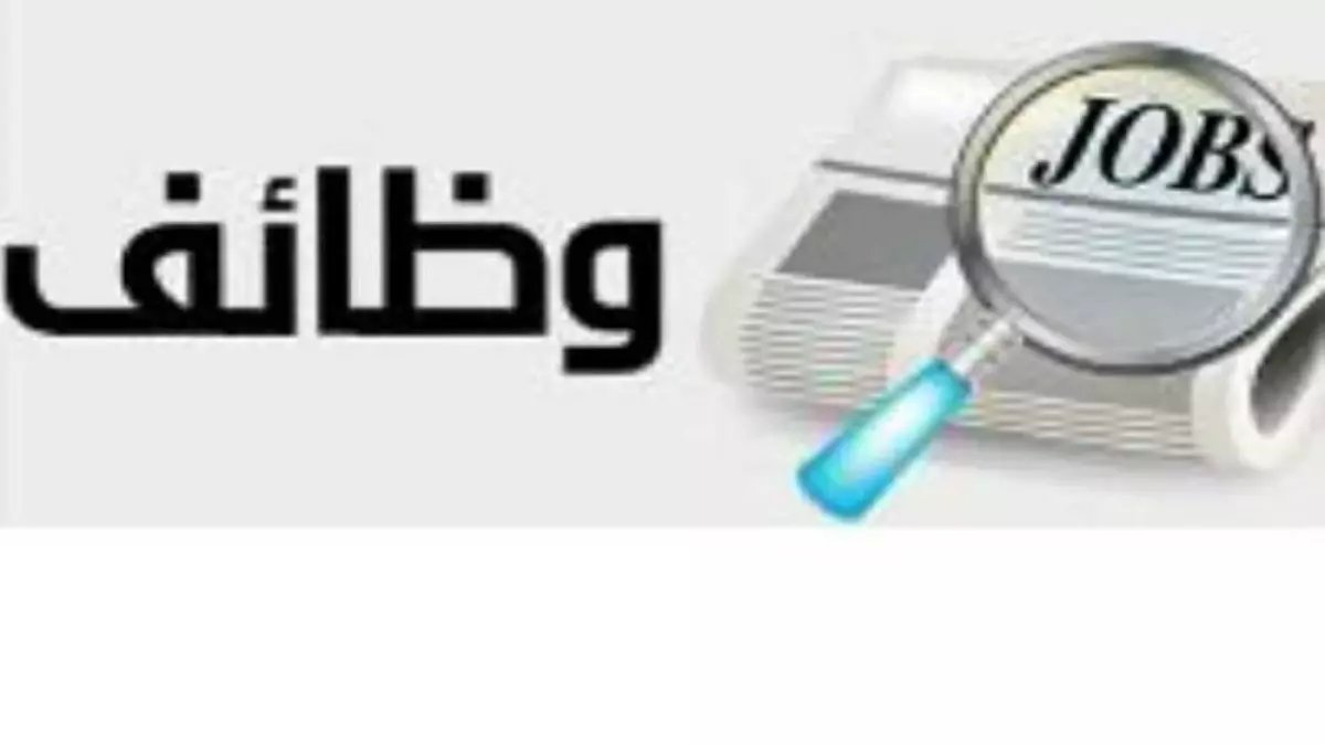 عاجل: وزارة العمل تعلن صدمة إيجابية.. 5188 وظيفة شاغرة في 11 محافظة - التقديم خلال مارس فقط!