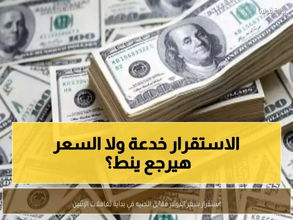  الدولار يحافظ على استقراره عند 48.80 جنيه... هل انتهت موجة الارتفاعات؟