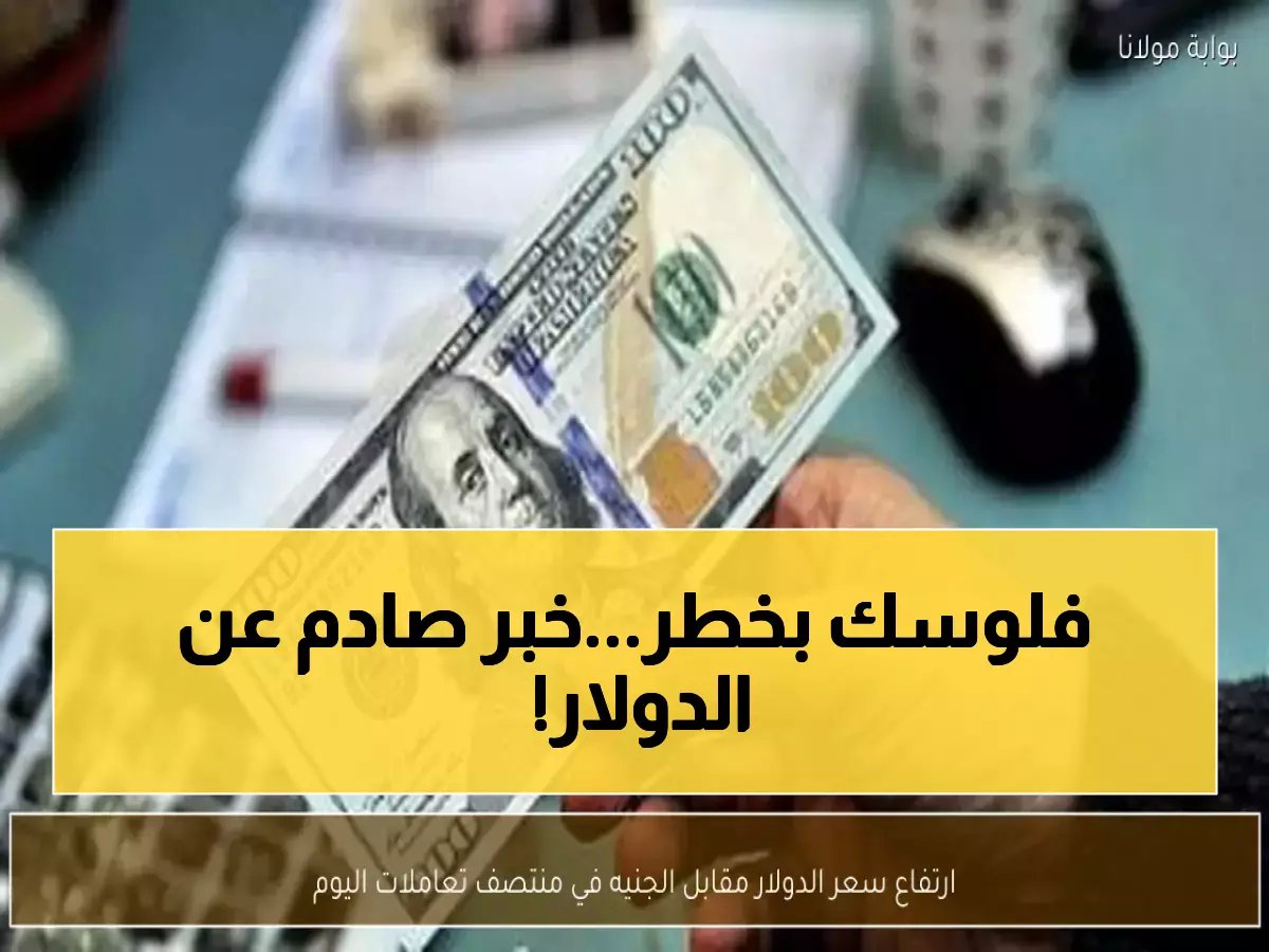  الدولار يقفز لـ 49.33 جنيه... هل تنهار المدخرات المصرية اليوم؟