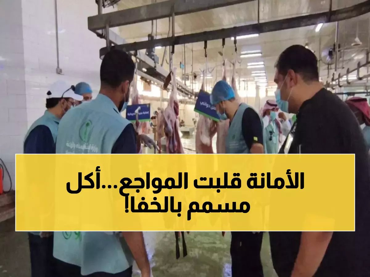  أمانة جدة تسحق شبكة أغذية فاسدة… ضبط 1.1 طن لحوم وأسماك متعفنة داخل مبنى مهجور!