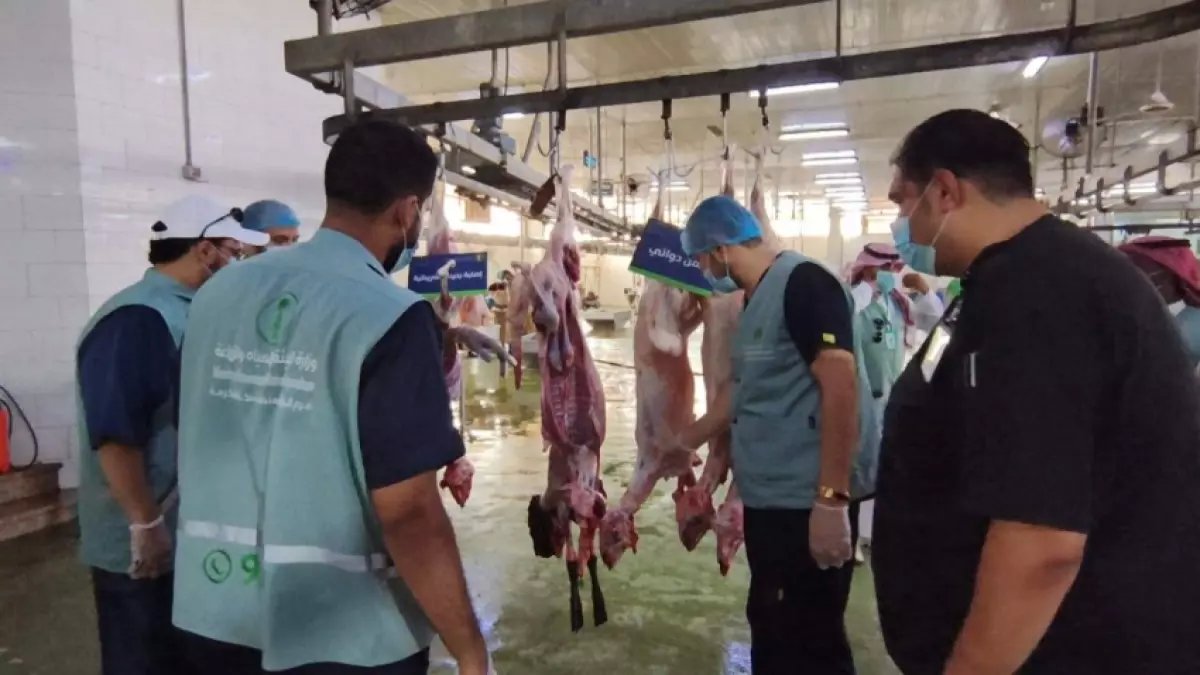 عاجل: أمانة جدة تسحق شبكة أغذية فاسدة… ضبط 1.1 طن لحوم وأسماك متعفنة داخل مبنى مهجور!