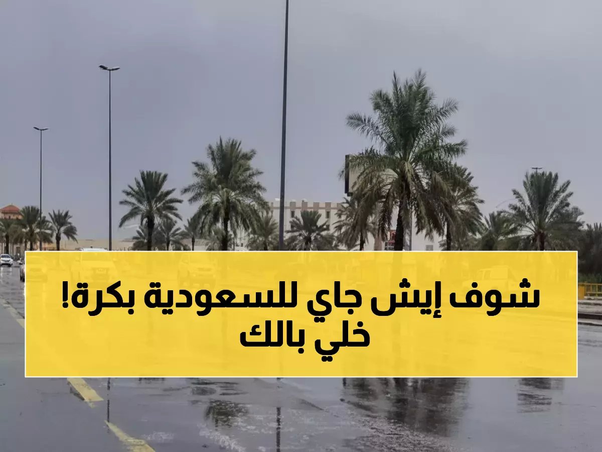  عاصفة رعدية تضرب 7 مناطق في المملكة غداً... أمطار وبرد ورياح تصل لـ50 كم/ساعة!