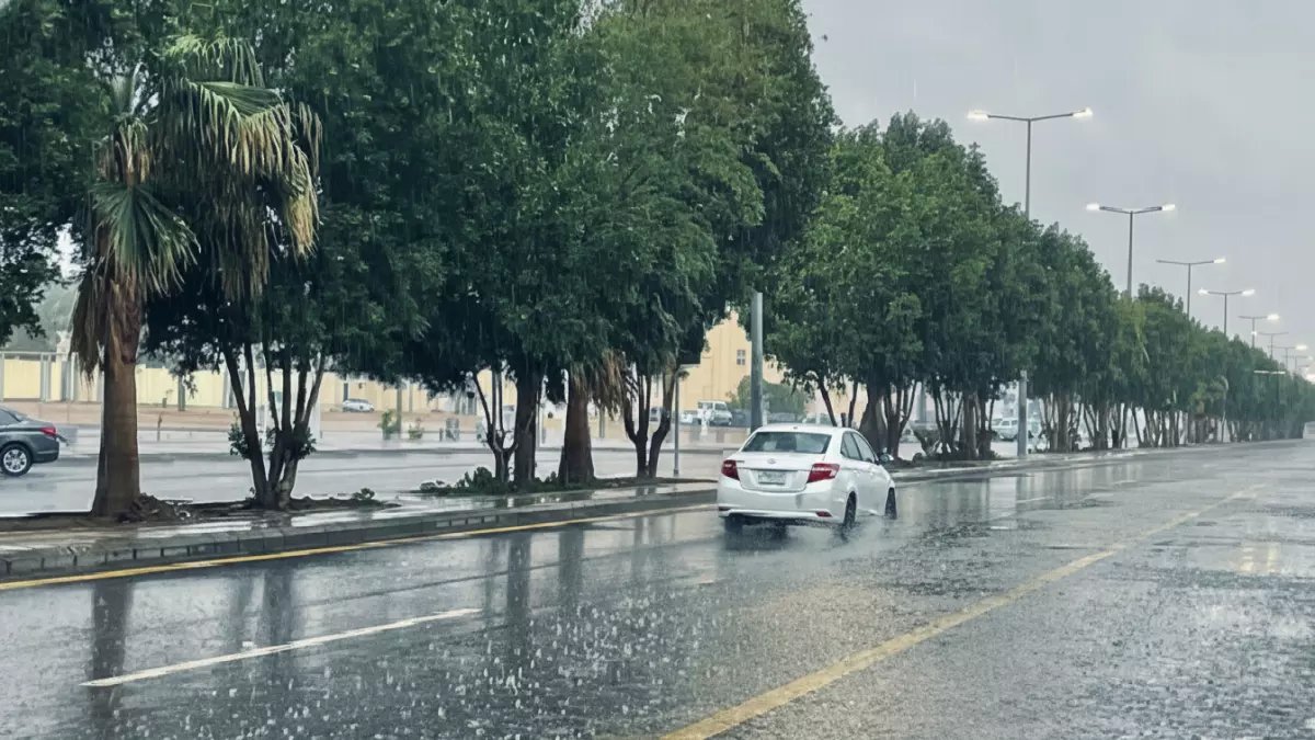 عاجل: الأرصاد تحذر سكان الرياض من طقس خطير خلال 48 ساعة - الرؤية منعدمة والدفاع المدني يتدخل!