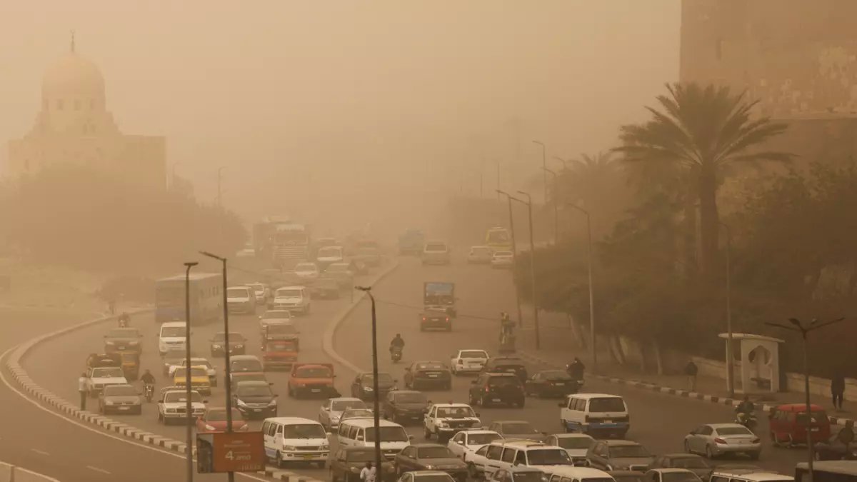 عاجل: الأرصاد تحذر من شبورة كثيفة تشل الحركة فجر الخميس… وصقيع يهدد المزروعات!