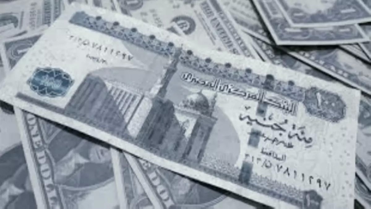 عاجل: الريال السعودي يقفز لـ 13.39 جنيه في مصر... والخبراء يحذرون من مفاجأة أكبر!