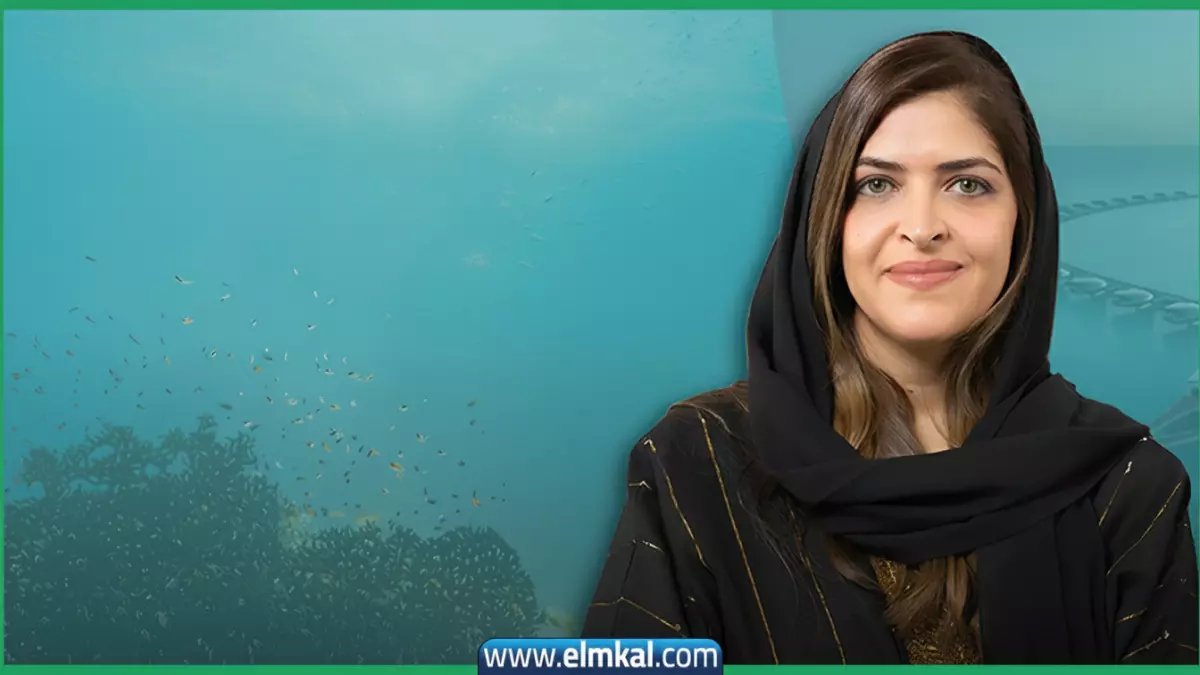 حصري: من هي مريم فيكتشلو؟ السعودية النافذة التي تقود 15+ هيئة استراتيجية وتحمل دكتوراة من لندن!