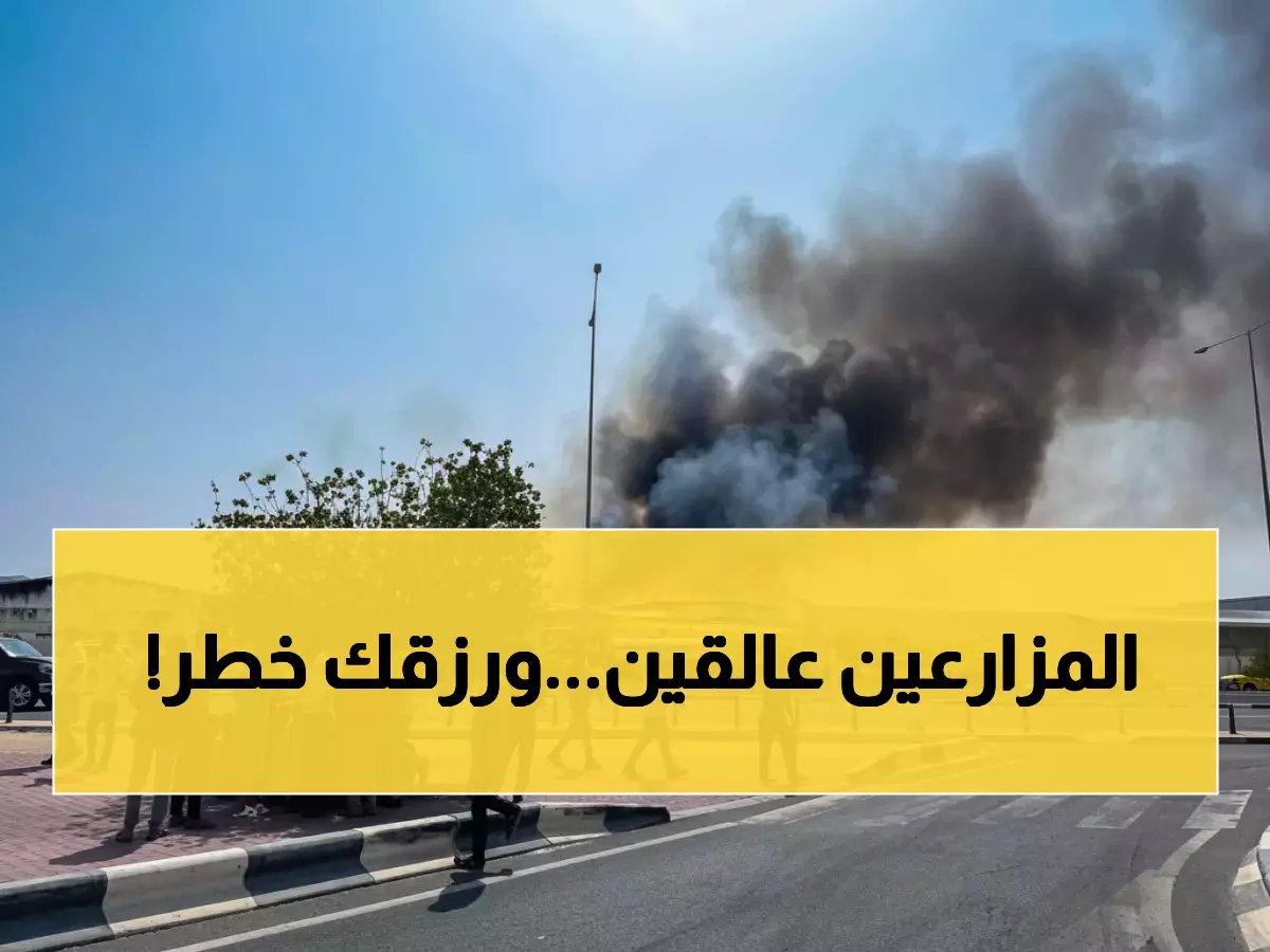 لأنهم يطعمون الوطن ويواجهون خسائر يومية.. 50 شاحنة طعام تبقى عالقة كل يوم تعني تهديداً مباشراً لسلتك الغذائية وأمنك الأسري.