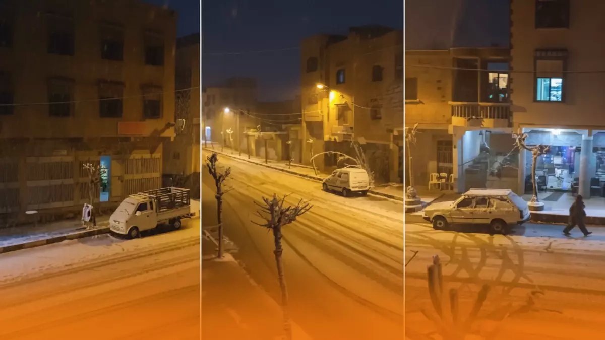 هل تعلم أن مهلة تعليم أبنائك تنتهي في فبراير 2026؟ ... هذا رقم القانون وموعد تنفيذه الذي سيجعل 'المدرسة الجديدة' إلزامية.