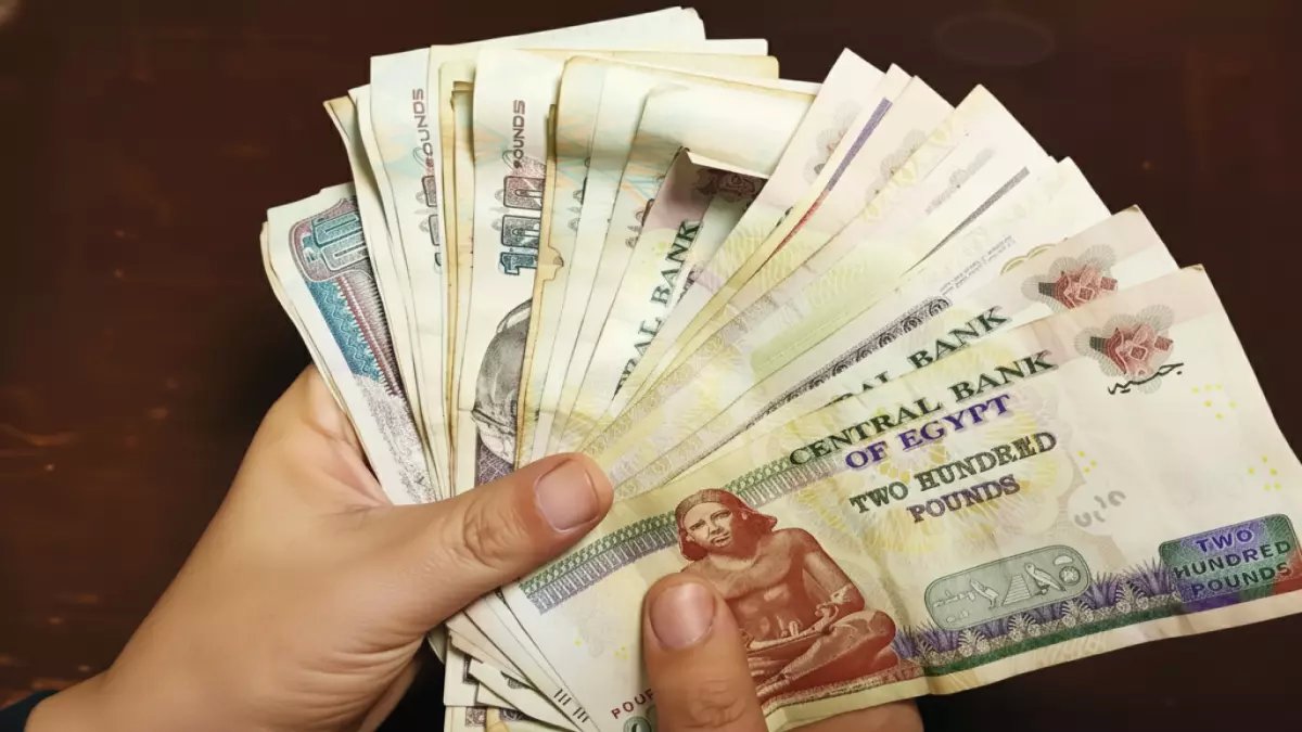 انتهى زمن القلق والتكهنات... الهيئة القومية للتأمينات الاجتماعية تعلن رسمياً: المستحقات تصرف اعتباراً من 15 مارس