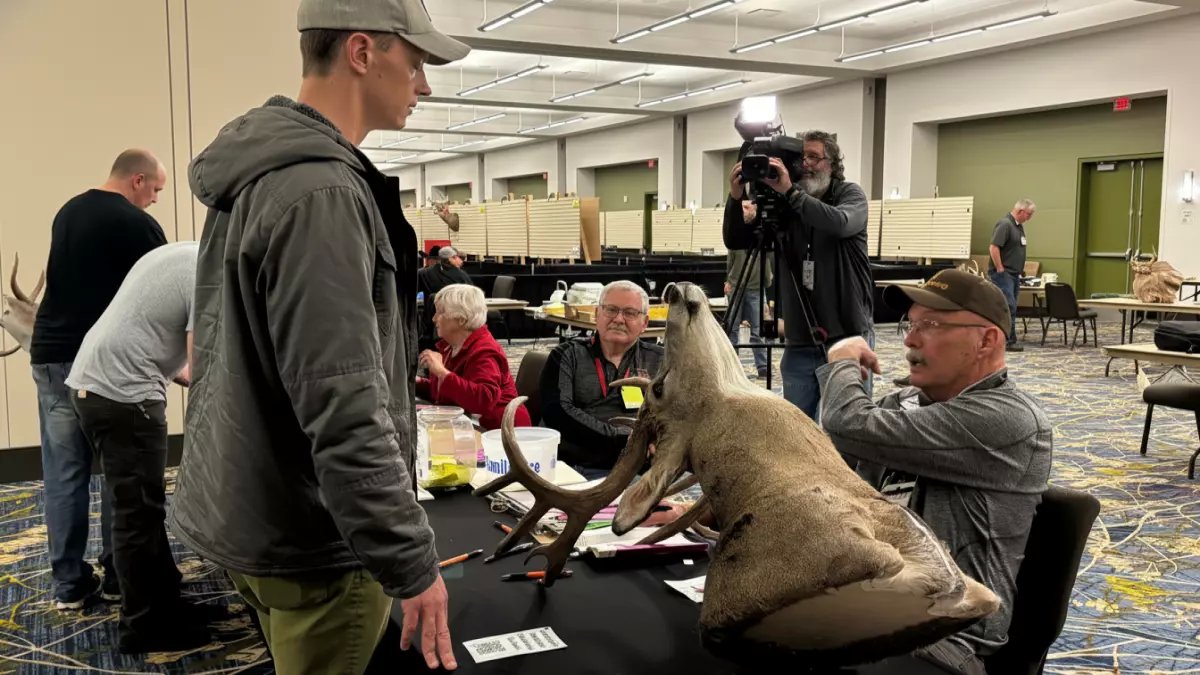 مرشح حاكم يدخل غزالاً عملاقاً في مسابقة… سر النقاط التي أذهلت الجميع!