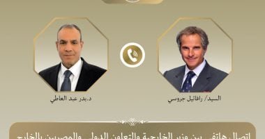 وزير الخارجية يبحث مع الوكالة الدولية للطاقة الذرية التصعيد العسكري بالمنطقة