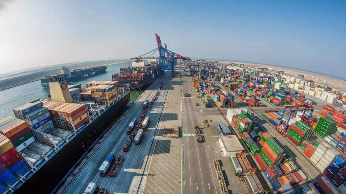 243 ألف طن خلال أسبوع واحد... إنجاز تاريخي يضع مصر على خريطة القوة الغذائية العالمية!