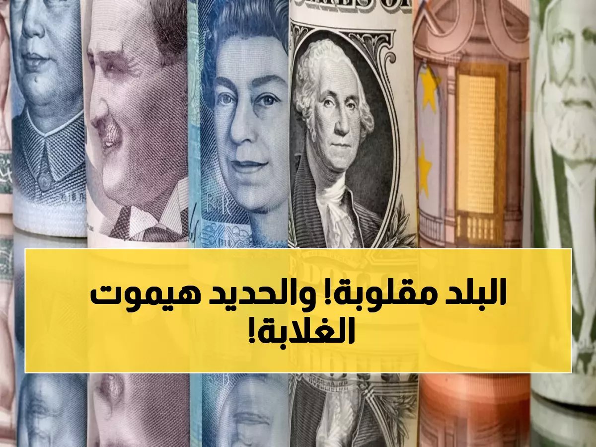 عاجل: الدينار الكويتي يرتفع جنيهين والحديد يقترب من 39 ألف… أسعار صادمة تضرب مصر اليوم!