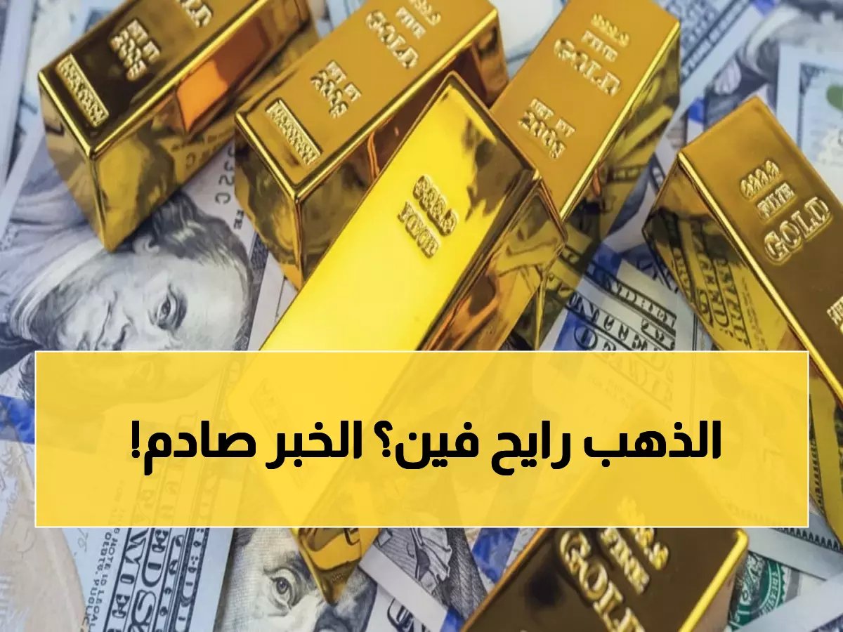  خبير يكشف مصير الذهب الصادم… 5500 دولار أم انهيار لـ4800؟ الإجابة ستفاجئك!
