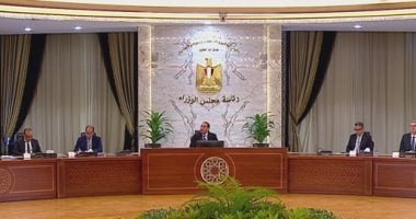 وزير الخارجية: تحرك مع الشركاء الدوليين للإسراع فى تنفيذ الاتفاقيات التى تم التوافق عليها