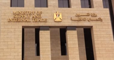 الجريدة الرسمية تنشر قرار إنشاء مكتب سجل تجاري بهيئة الرقابة المالية