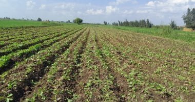 مركز المناخ لـ"لمزارعين": اليوم "الهدوء الأخير" قبل أقوى عواصف الربيع