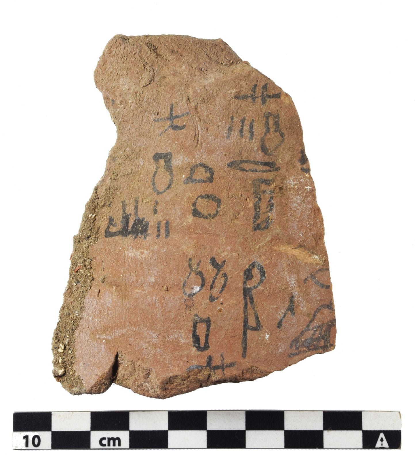 كشف أثري (7) كشف أثري (7)