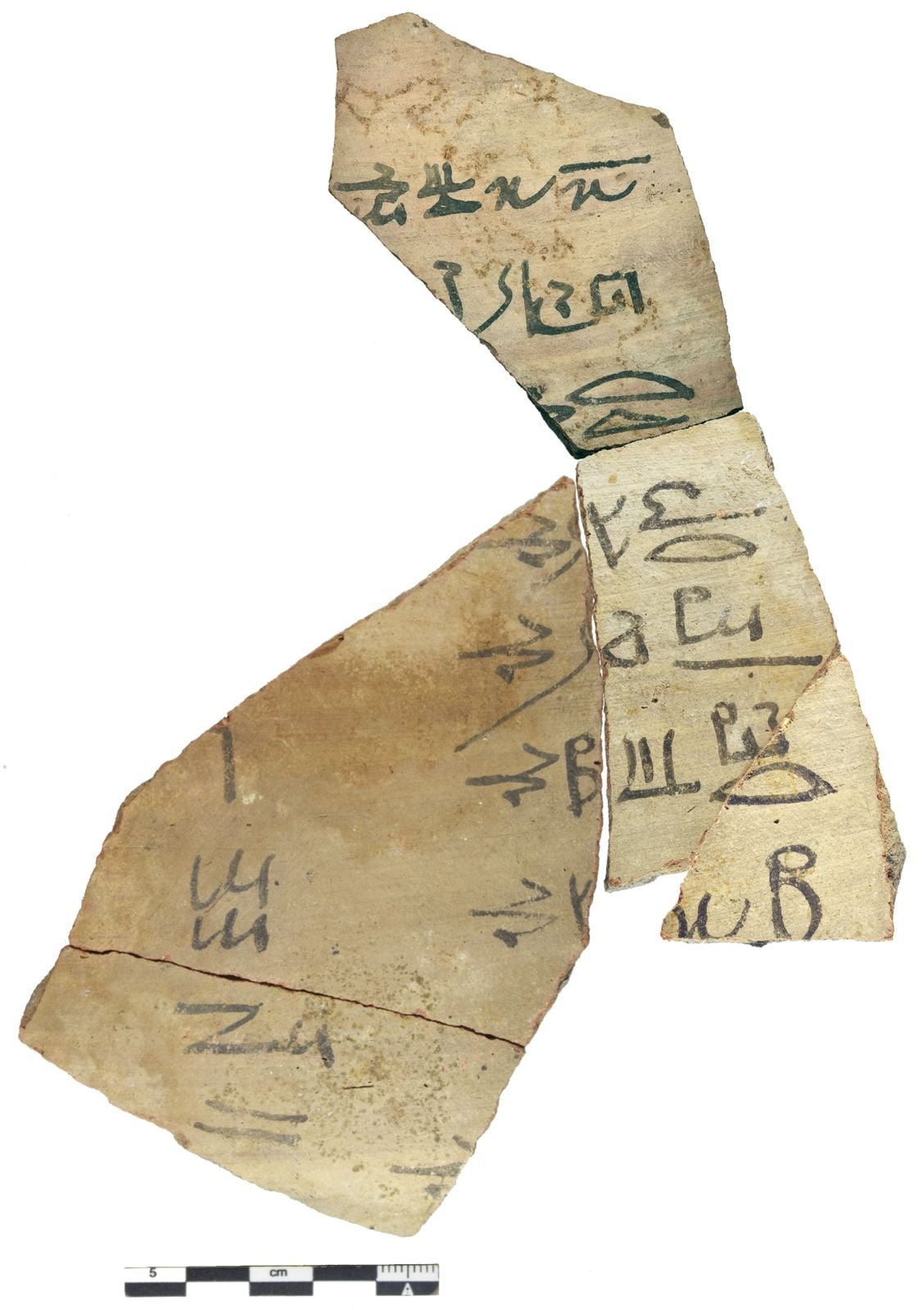 كشف أثري (5) كشف أثري (5)