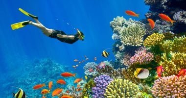 من أجل الاسترخاء والمغامرة.. الجارديان تنصح بزيارة شرم الشيخ والغردقة