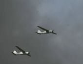 السلطات الأمريكية تحذر من هجمات إيرانية على سواحل الولايات المتحدة