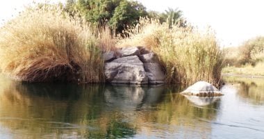 ميكنة دراسات الأثر البيئي وتذاكر المحميات الطبيعية إلكترونيا