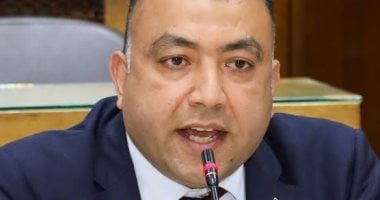 لجنة انتخابات المهندسين: 17.5 ألف عضو أدلوا بأصواتهم فى جولة الإعادة على مقعد النقيب