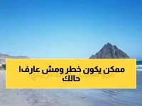  95% منهم في حالة خطر