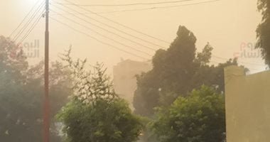 محافظة الإسكندرية تحذر المواطنين: سرعة الرياح تصل إلى 50 كم.. وتصدر 4 تعليمات