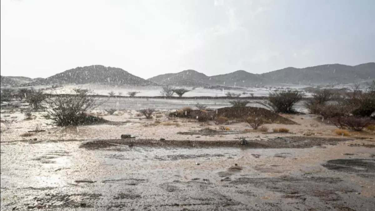 شاهد بالفيديو.. الباحة تتحول إلى "قطعة من أوروبا" بعد سيول تاريخية غطت الجبال باللون الأخضر!