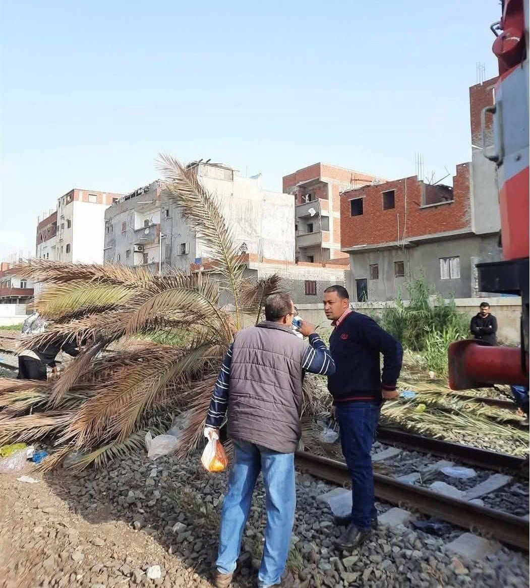 أعمال رفع نخلة من علي قضبان السكة الحديد بالإسكندرية