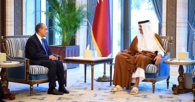 بتوجيهات من رئيس الجمهورية.. وزير الخارجية ينقل رسالة دعم كامل وتضامن مصر التام إلى أمير قطر