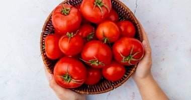 بيلاروس تبتكر صنفا من الطماطم عالى الإنتاجية وغني بمضادات الأكسدة