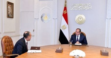 الرئيس السيسى يطّلع على تقرير شامل حول جولة وزير الخارجية لعدد من الدول العربية