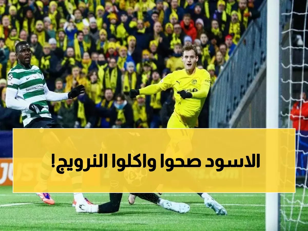 ريمونتادا تاريخية! سبورتينج لشبونة يصدم بودو جليمت بثلاثية ناريّة ويجبره على الوقت الإضافي