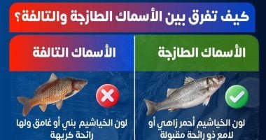 الصحة توضح كيفية التفرقة بين الأسماك الطازجة والفاسدة لحماية المواطنين