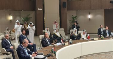 وزير الخارجية يشارك فى الاجتماع الوزارى التشاورى بالرياض ويدين اعتداءات إيران