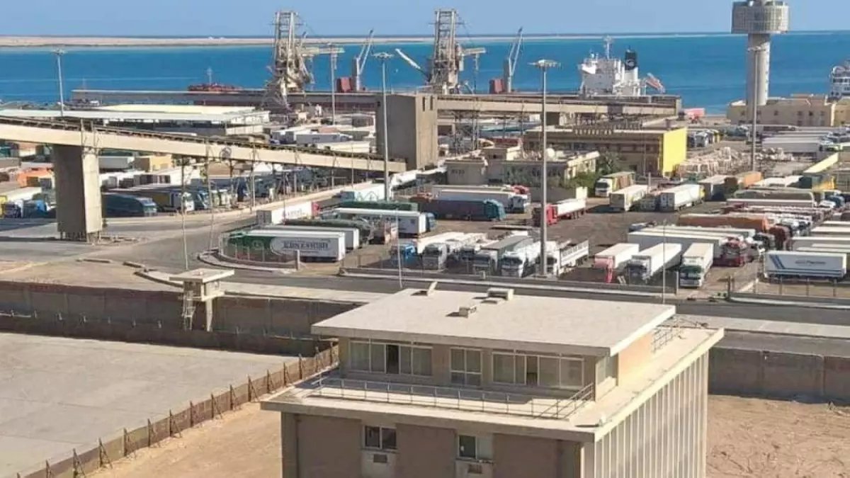 عاجل: طفرة صادمة تحدث في ميناء سفاجا... 75% زيادة في الصادرات للخليج خلال أسبوعين!